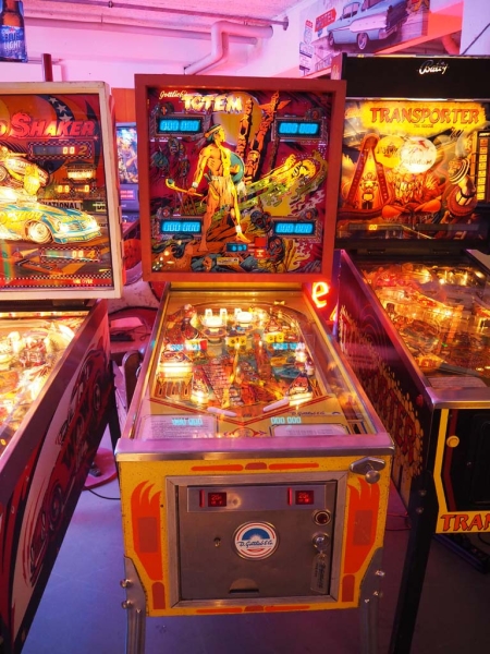 totem pinball machine for sale